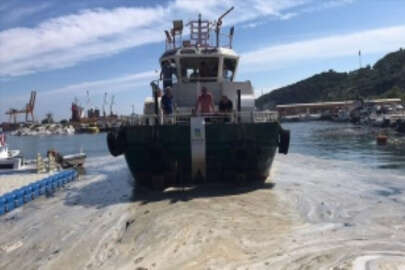 Marmara Adası sahilindeki müsilaj temizleniyor