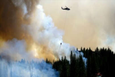 ABD'nin California eyaletinde orman yangınları sürüyor