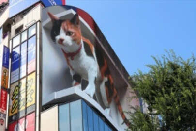 Tokyo'nun yeni misafiri 3D kedi, şehri izliyor ve halkı selamlıyor