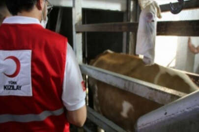 Türk Kızılay, Kuzey Makedonya’da ihtiyaç sahiplerine kurban eti ulaştırıyor