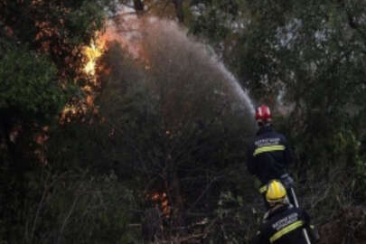 Yunanistan'da devam eden orman yangınları hükümete karşı sert eleştirilere neden oldu