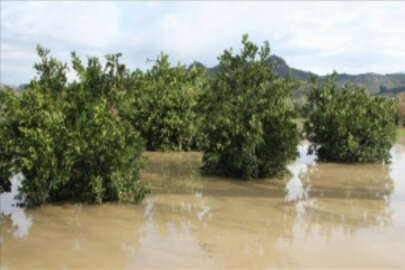 Antalya'da nehir taştı, iş bölgeleri ve ekincilik alanlarını su bastı