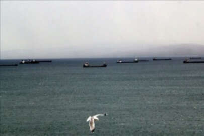 Yük gemileri kuvvetli rüzgar nedeniyle Sinop doğal limanına demirledi
