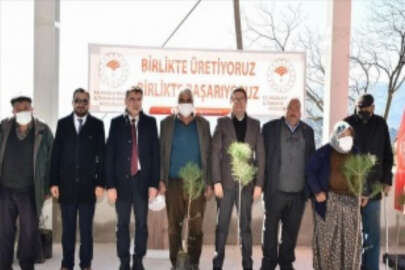 Muğla'da orman yangınlarının açtığı yaraların sarılmasına devam ediliyor