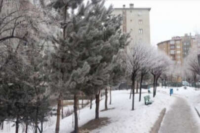Erzurum ve Ardahan'da soğuk hava etkili oluyor