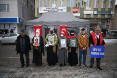 İkna çalışması sonucu 2 teröristin teslim olması Muş'ta eylem yapan aileleri sevindirdi