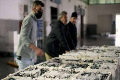Türkiye'nin farklı illerinden balıkçılar Samsun'daki mezatta buluşuyor