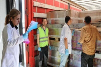 Kapıkule'de görevli veteriner hekimler halk sağlığı için nöbette