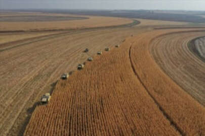 Çiftçi sayısında Ordu, tarım arazisinde Konya zirvede