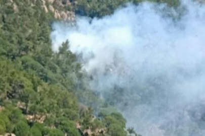 Milas'ta çıkan orman yangını kontrol altına alındı