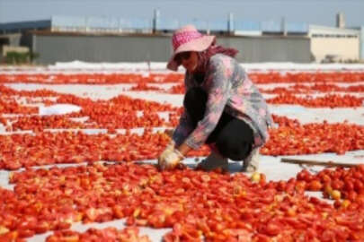 Kuru domatesin merkezi Torbalı, ürünün yaygınlaşmasına öncülük ediyor