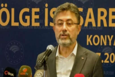 Bakan Yumaklı: Bu yıl orman yangınlarında 6 bin 900 hektar alan zarar gördü