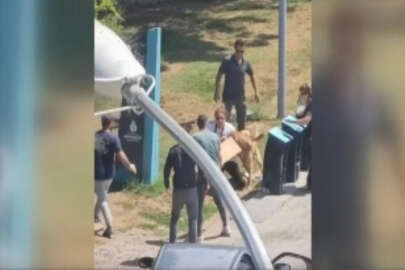 Kadıköy'de tasmasız gezdirilen köpeğin saldırısına uğrayan kadın yaralandı