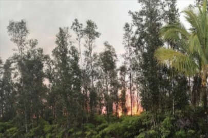 İklim değişikliği, yeşil bitki örtüsüyle bilinen Hawaii'de orman yangınlarını tetikledi