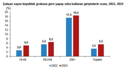 TÜİK: İnternet erişimine sahip girişimlerin oranı yüzde 96