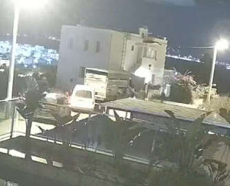 Bodrum'da 3 sokak köpeği kamyonetle götürüldü; o anlar kamerada