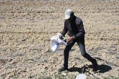 DHA'nın haberinin ardından, Sivas'taki araziye yayılan çöpler temizleniyor