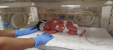 2 günlük bebeği dağ yoluna terk edip, jandarmayı arayan aile üyeleri yakalandı