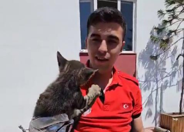 Önce otomobilin sonra itfaiye aracının motor bölümüne giren kediyi çıkarmaya çalıştılar