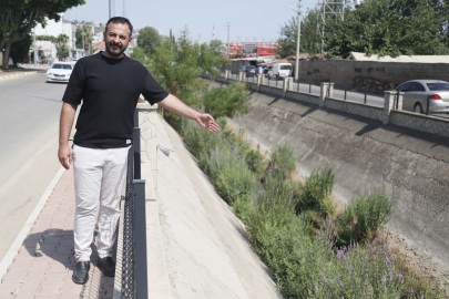 Kuraklıktan kuruyan sulama kanalı sinek yuvası oldu