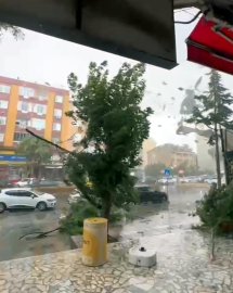Marmaraereğlisi'nde sağanak ve kuvvetli rüzgar; ağaçlar devrildi, çatılar uçtu