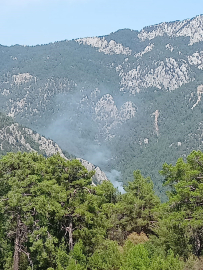 Antalya'da orman yangını