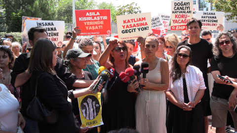 Ankara'da barınak yakınında 11 köpek ölüsü bulundu; soruşturma başlatıldı (2)