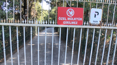 İstanbul - Vaniköy'de orman içindeki villa inşaatında inceleme - 1
