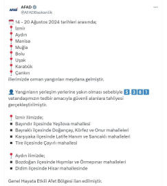 İzmir ve Aydın'daki yangında zarar görenlere nakdi yardım yapılacak