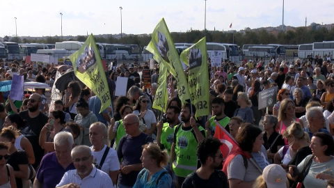 İstanbul- Hayvanseverler Yenikapı Miting alanında buluştu; sanatçılar sokak hayvanları için şarkı söyledi