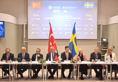 Bakan Bolat, İsveç'te (2)