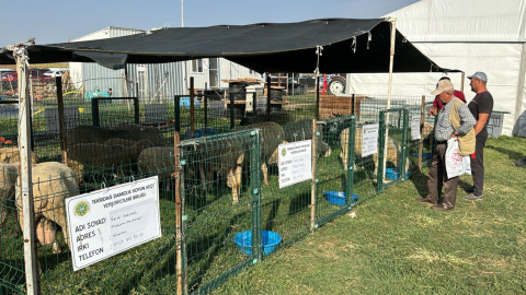 Tekirdağ'da 'Tarım ve Teknoloji Günleri Fuarı'