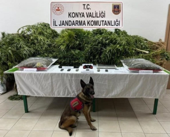 Çiftliğinde esrar ve kenevir ele geçirilen avukat beraat etti, 2 çalışanı 14’er yıl 9’ar ay ceza aldı