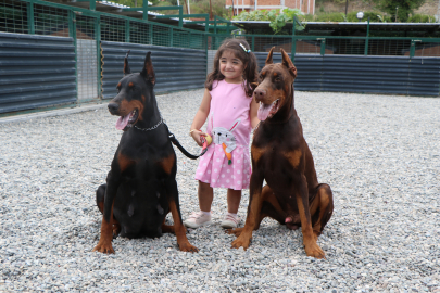Kurduğu çiftlikle doberman yetiştirip, 40'ı aşkın ülkeye gönderdi