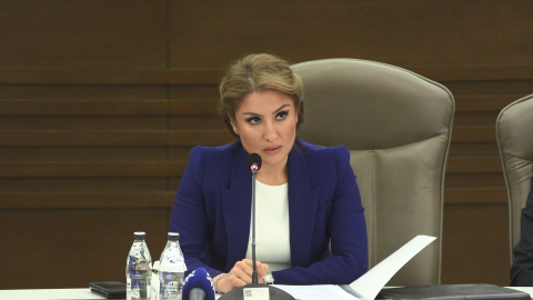 AİHM Yargıcı Yüksel: Türkiye aleyhine AİHM'de 24 bin dava dosyası var