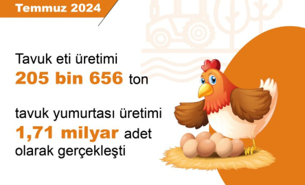 TÜİK: Aylık tavuk eti, yumurta ve içme sütü üretimi arttı