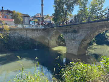 Bartın Irmağı'nda balık ölümleri