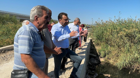 Gediz Nehri'nde balık ölümleri
