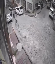 İstanbul - Fatih'te sürücüsünün el frenini çekmeyi unuttuğu minibüs kaydı