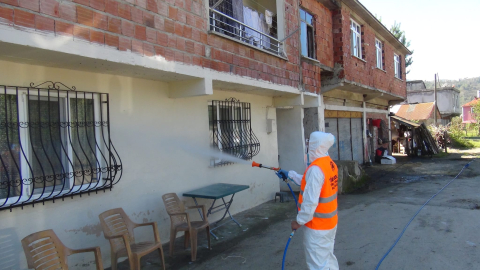 Giresun’da evlere dadanan 'kahverengi kokarcaya' karşı ilaçlama timi