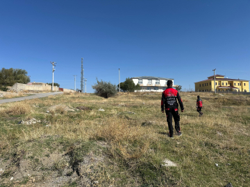 Kayıp Rojin'i arama çalışmaları, 12'nci gününde (2)