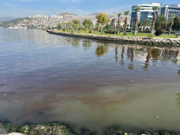 'İzmir Körfezi'ndeki kirlilik, sediment yapısını da bozdu'