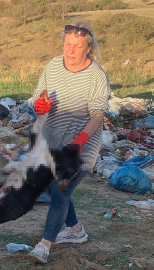 Kırklareli'nde barınakta 17 kedi ve köpek öldü; adli, idari soruşturma başlatıldı (2)
