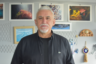 Prof. Dr. Aydın: Hamsinin üzerinde ciddi av baskısı var
