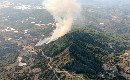 Antalya'da orman yangını (2)