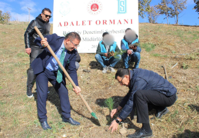 İstanbul - Küçükçekmece'de hükümlülerden Adalet Ormanı'na 300 fidan