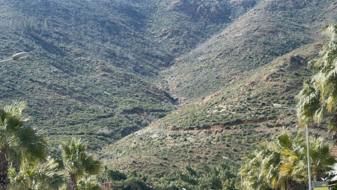 Marmaris'te yanan ormanlarda fidanlar boy verdi
