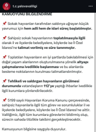 Yalova Valiliği'nden sahipsiz sokak hayvanlarının toplatılmasına ilişkin açıklama