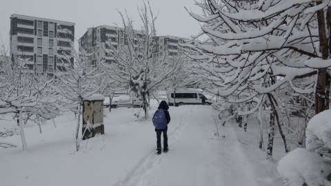 Bitlis'te kar yağışı; 80 köy yolu kapandı /Video eklendi