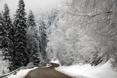 Bolu'nun yayla ve ormanlarında kar güzelliği